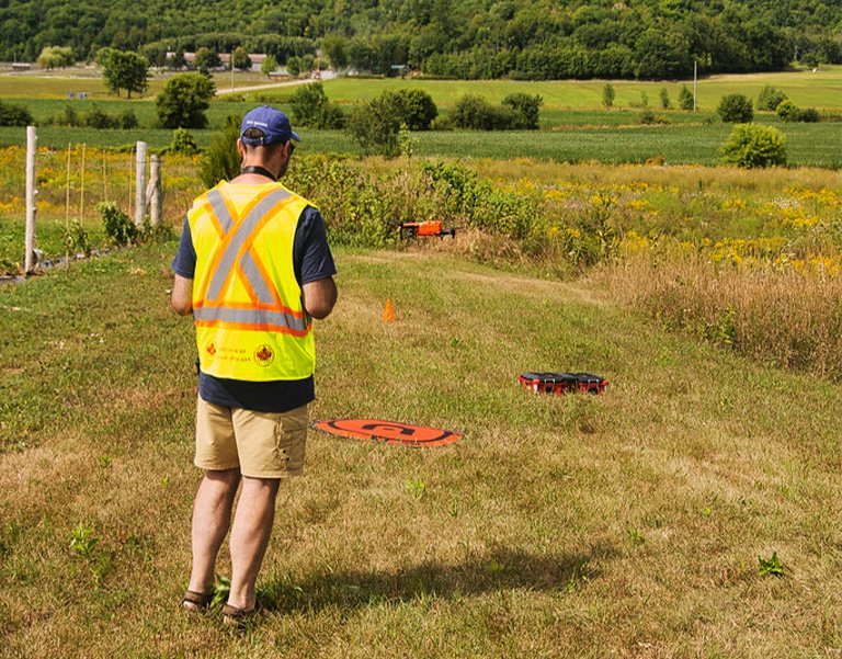 High-energy training session